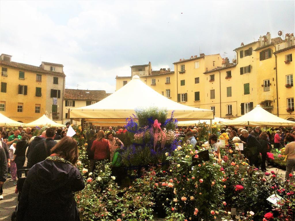 24H Suite Lucca Esterno foto